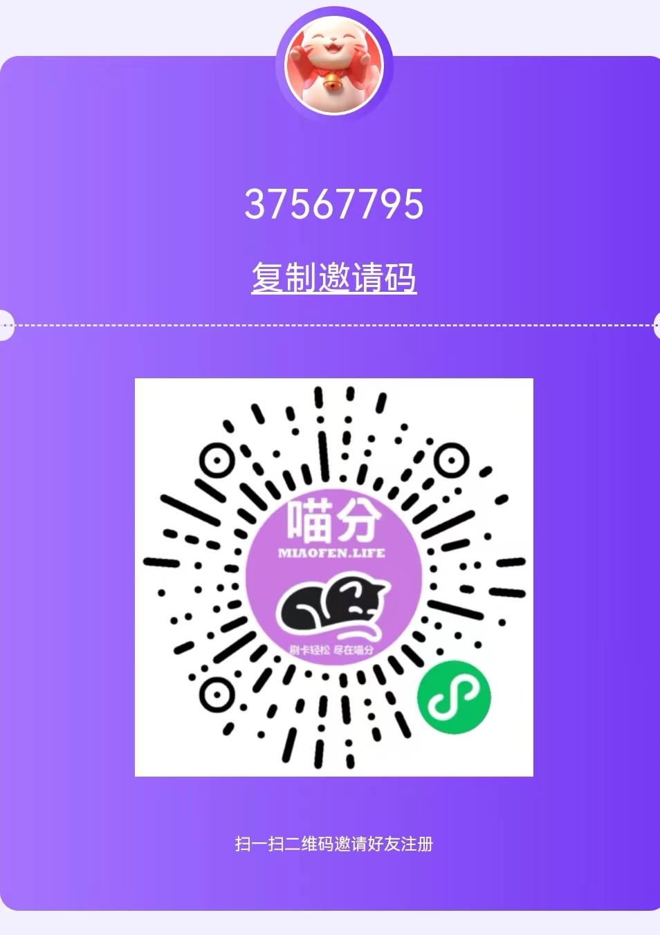 喵分.jpg
